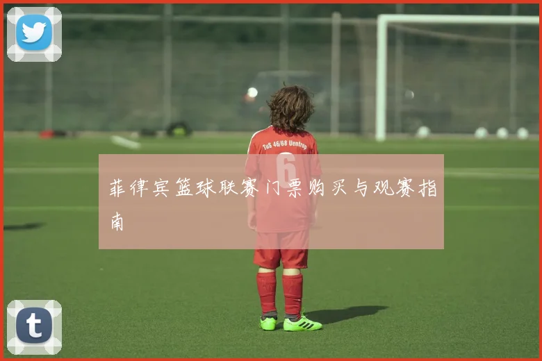 菲律宾篮球联赛门票购买与观赛指南