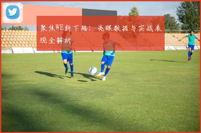 聚焦WE新下路：亮眼数据与实战表现全解析